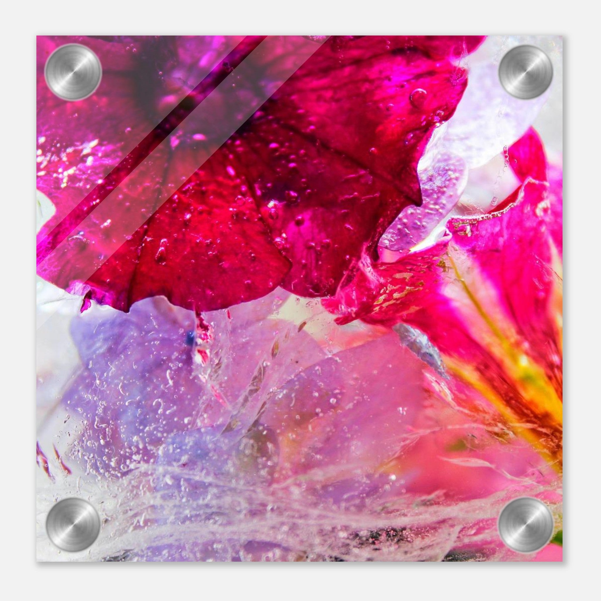 16de538e-5d4e-46e4-a730-42236054a6fe