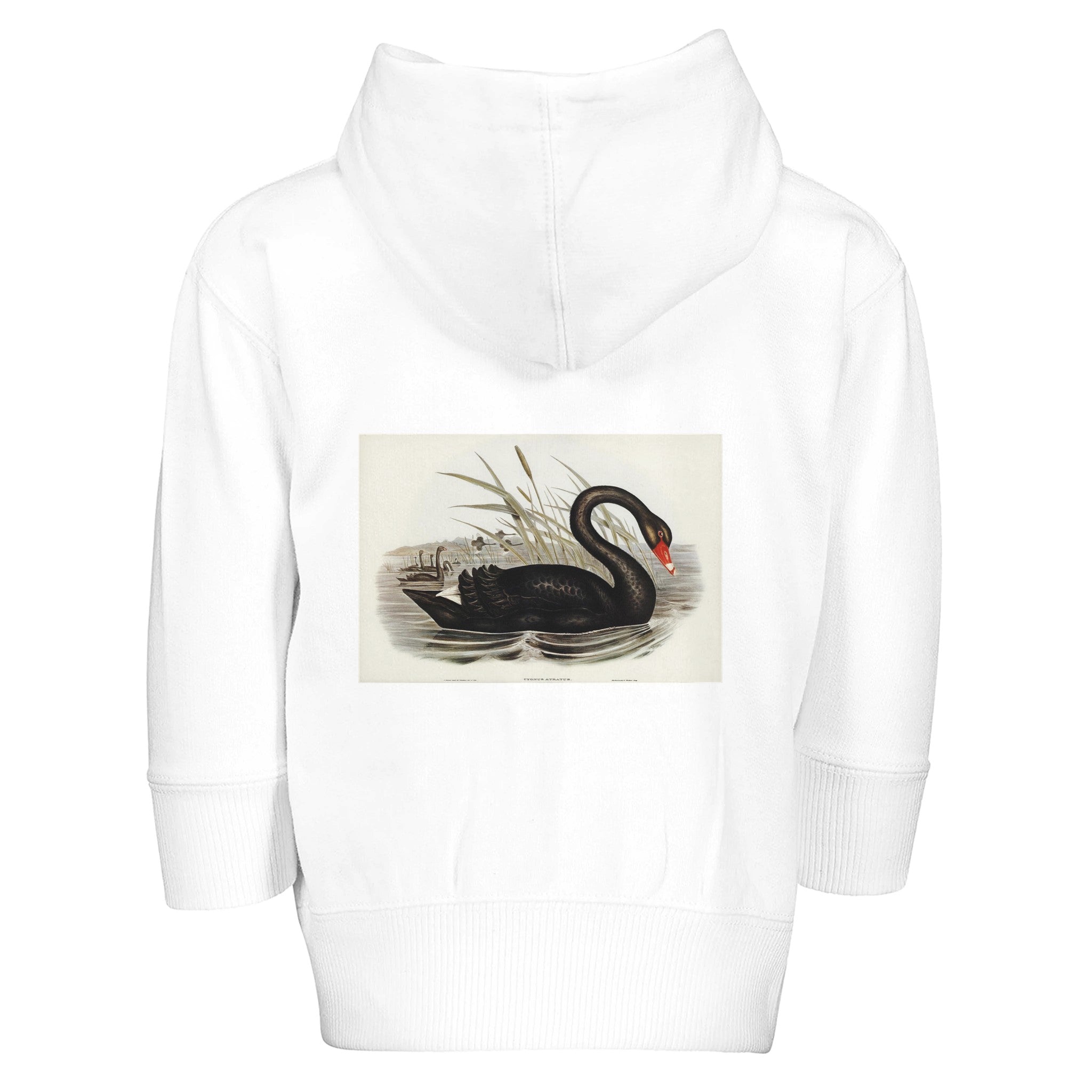 c1fddeb3-0a90-4081-b422-6a1817f39462