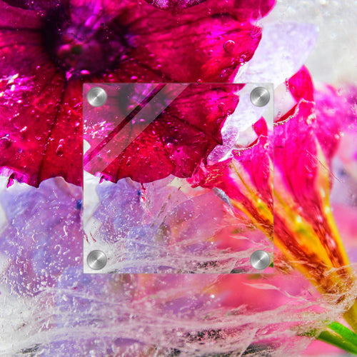 fcc4c426-2472-4b4d-a3f1-be56c24ba6ba